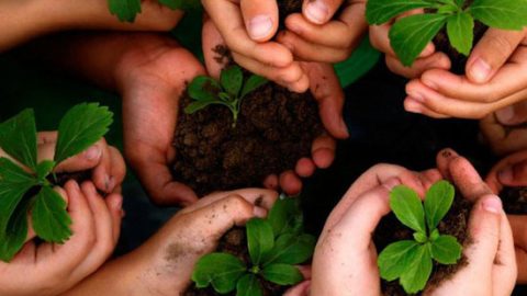 Seven Ways You Can Contribute To Saving The Environment